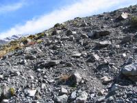 Albums/20060200-New Zealand 2006/20060317-Cook/17